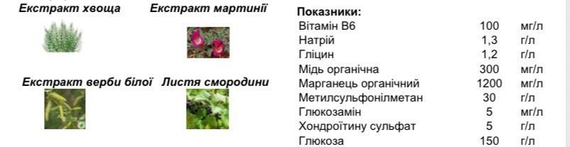 Рідкий хондропротекторний комплекс Joint L &laquo;диявольский кіготь&raquo; 151 фото