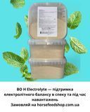 Electrolyte Премикс-электролит (восстановление баланса и выносливость), 1,5 кг 008 фото