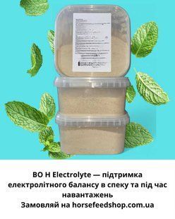 Премікс-електроліт (відновлення балансу та витривалість), 1.5 кг 008 фото