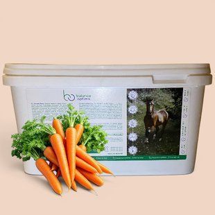 Лакомства морковные Sweet Carrot 7 кг 010 фото