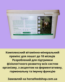 Премикс для жеребят Foal 100 (здоровье и рост), 5 кг 055 фото