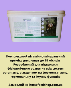 Премікс для лошат Foal 100 (здоров'я та ріст), 5 кг 055 фото