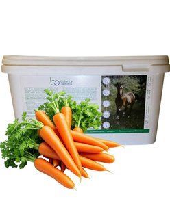 Морковные лакомства Sweet Carrot 3,5 kg 106 фото