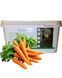 Морковные лакомства Sweet Carrot 3,5 kg 106 фото 1