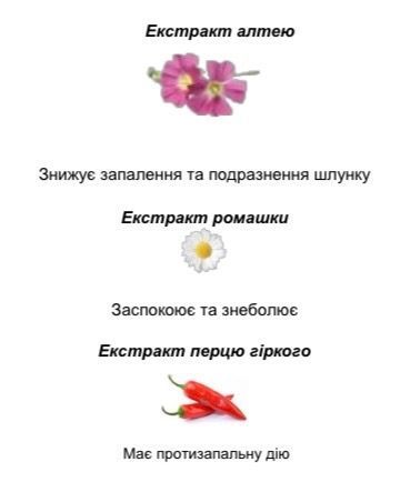 Muco L рідкий премікс для підтримки травлення, захисту слизових оболонок шлунково-кишкового тракту, зняття спазмів та зв'язування мікотоксинів у коней 159 фото