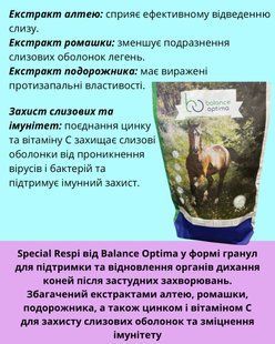Special Respi для підтримки та відновлення органів дихання коней після застудних захворювань 026 фото